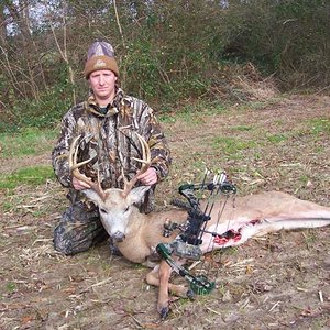 Whitetail Deer - Maryland