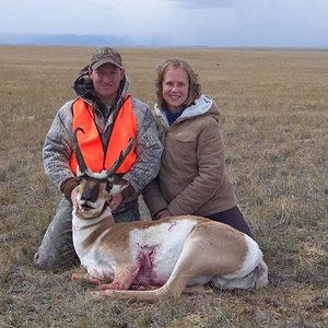 Pronghorn - Wyoming