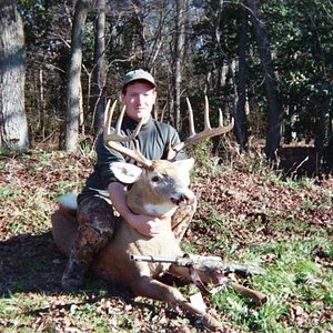 Whitetail Deer - maryland