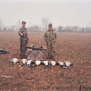 Canada Goose - Maryland