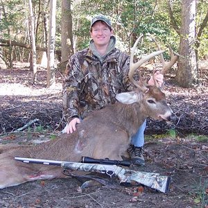 Whitetail Deer - Maryland