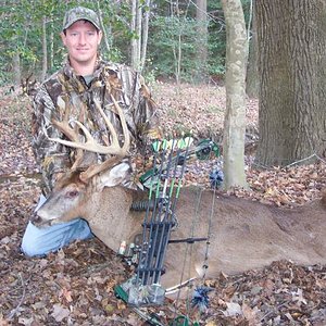 Whitetail Deer - Maryland