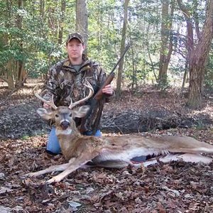 Whitetail Deer - Maryland