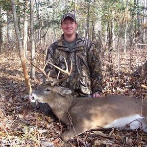 Whitetail Deer - Maryland