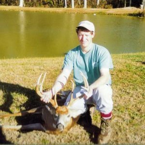 Whitetail Deer - Maryland