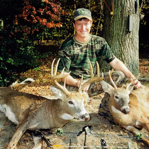 Whitetail Deer - Maryland