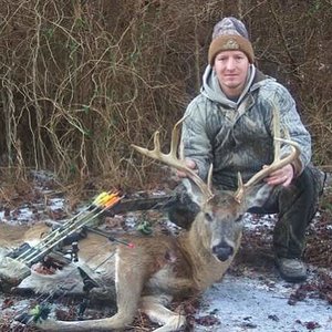 Whitetail Deer - Maryland