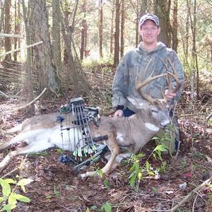 Whitetail Deer - Maryland