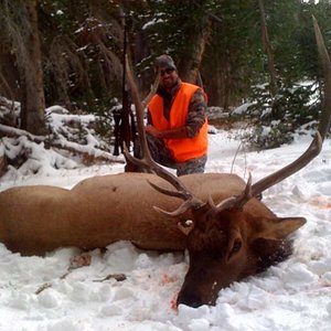 my first bull elk. Utah, over the counter tag, public land