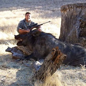 Ruben's Rhino! This hog was so old, most of the hair was completely gone, hence "Rhino". OH...and its freaking huge!

Taken in CA in 2008.