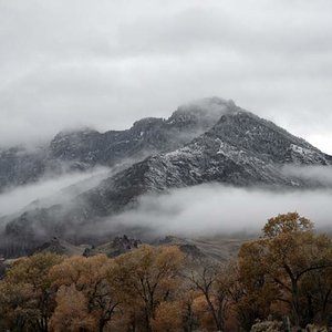 Wyoming winter