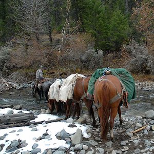 Crossing a creek