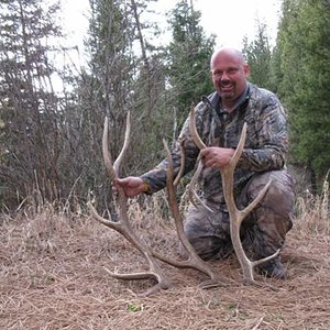 Shed hunting