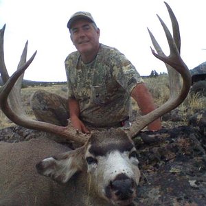 Barrys buck