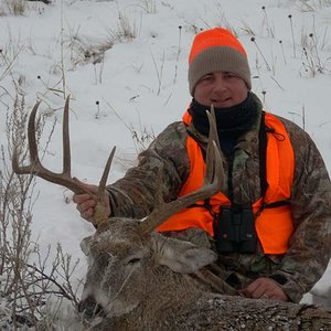 Montana 2010 deer 002
