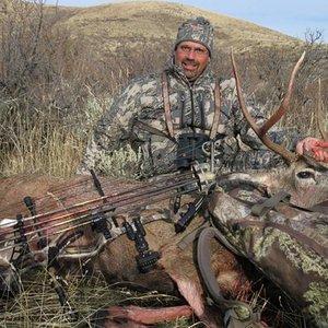 2010 Idaho Late season Mule deer