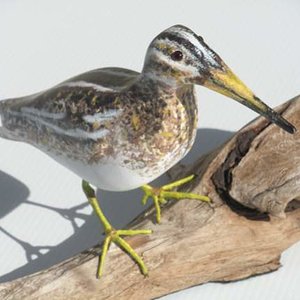 snipe