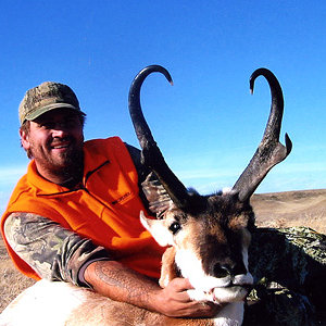 2007 goat
