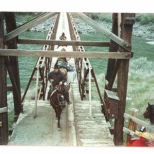 Salmon pack bridge