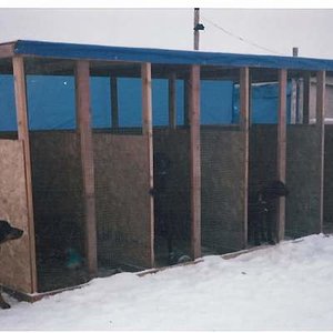 home made dog kennels