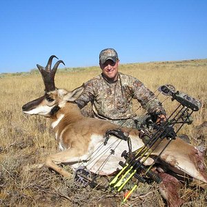 antelope 2008