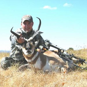 pronghorn 20010