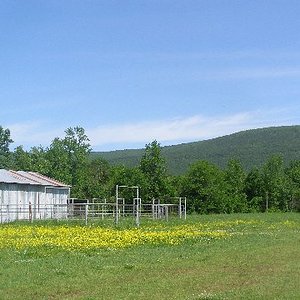 barn