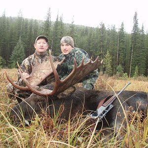 45" Mt Bull moose