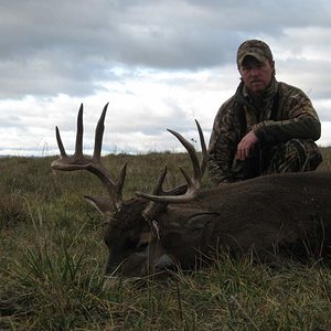 2008 Archery Whitetail