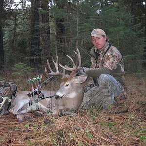 6x6 Archery Whitetail