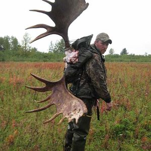 Alaska Moose Hunt