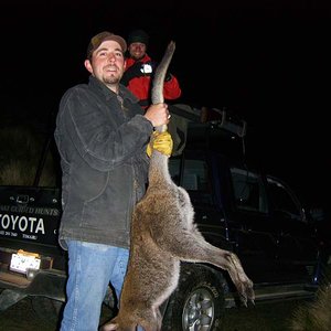 Brad ( Texas ) Spotlighting off the back of my Hilux