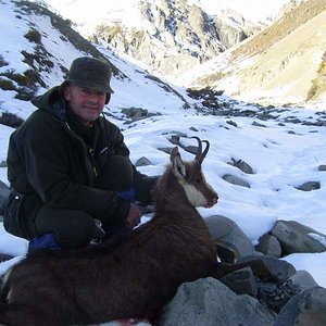 Chamois cull hunt - Public land