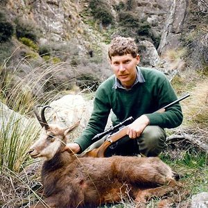 Alpine Chamois ( Private land )