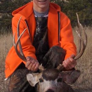 Logan's deer 07