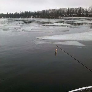 Jigging RainyRiver style