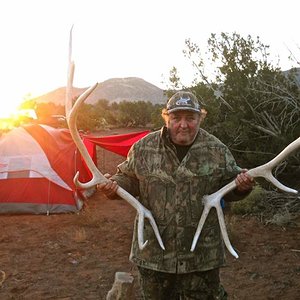 They've got huge antlers like this, you big dummy!