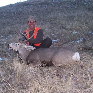 Decent SD muley