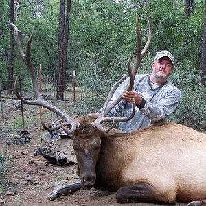 Arizona archery Elk