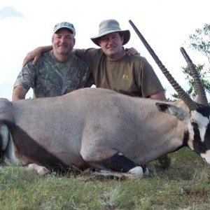 New mexico Oryx