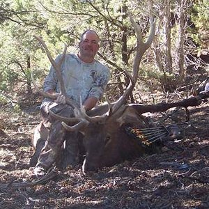 Colo archery elk