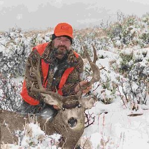 Colorado Buck