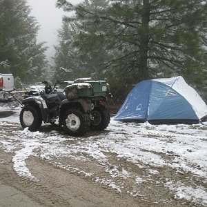 Camp while setting the spring baits.