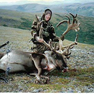 1996 caribou