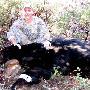Arizona bear shot at 80 yards