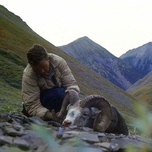 My Toad River, British Columbia Stone Ram.  Taken with Blaine Southwick in 1973.