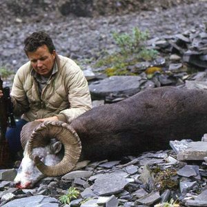 This is me when I was 32-years old in 1973, with my first mountain sheep.  This stone ram remains one of my best lifetime trophies.  He was 10-years o