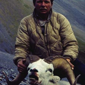 My 160" dall ram taken with Ray McNutt in the Nutzotin mountains of Alaska in 1976.