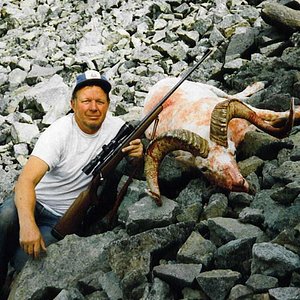 Took this ram hunting with Ray McNutt in the Nutzotin Mountains of Alaska in 1992.  He took a real nasty tumble down that rockslide.