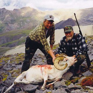 I guided Dwight from Colorado for this mature dall ram ( his best to date) in the Nutzotin Mountains of Alaska.  I was working for Ray McNutt in 1997.